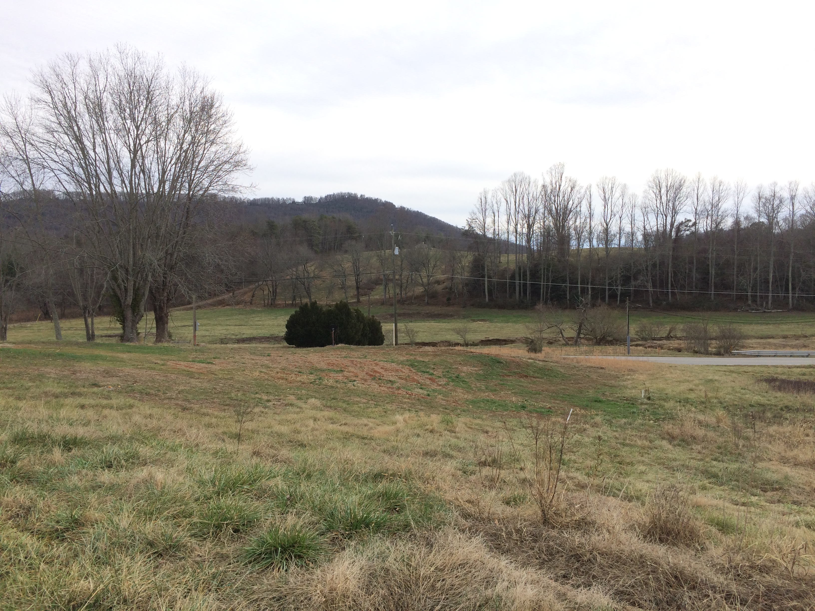 Lot 8 view south