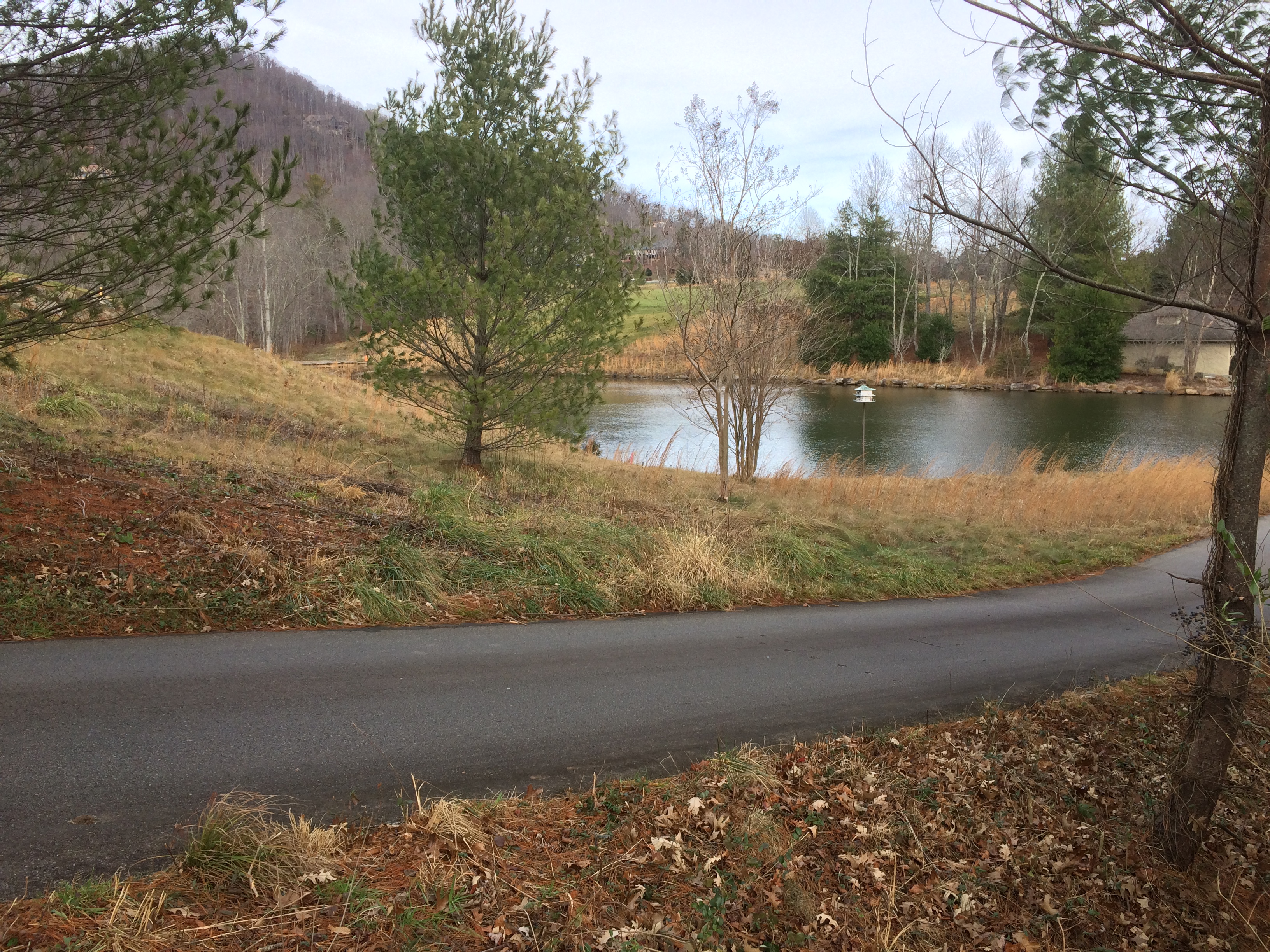 Lot 5 northeast