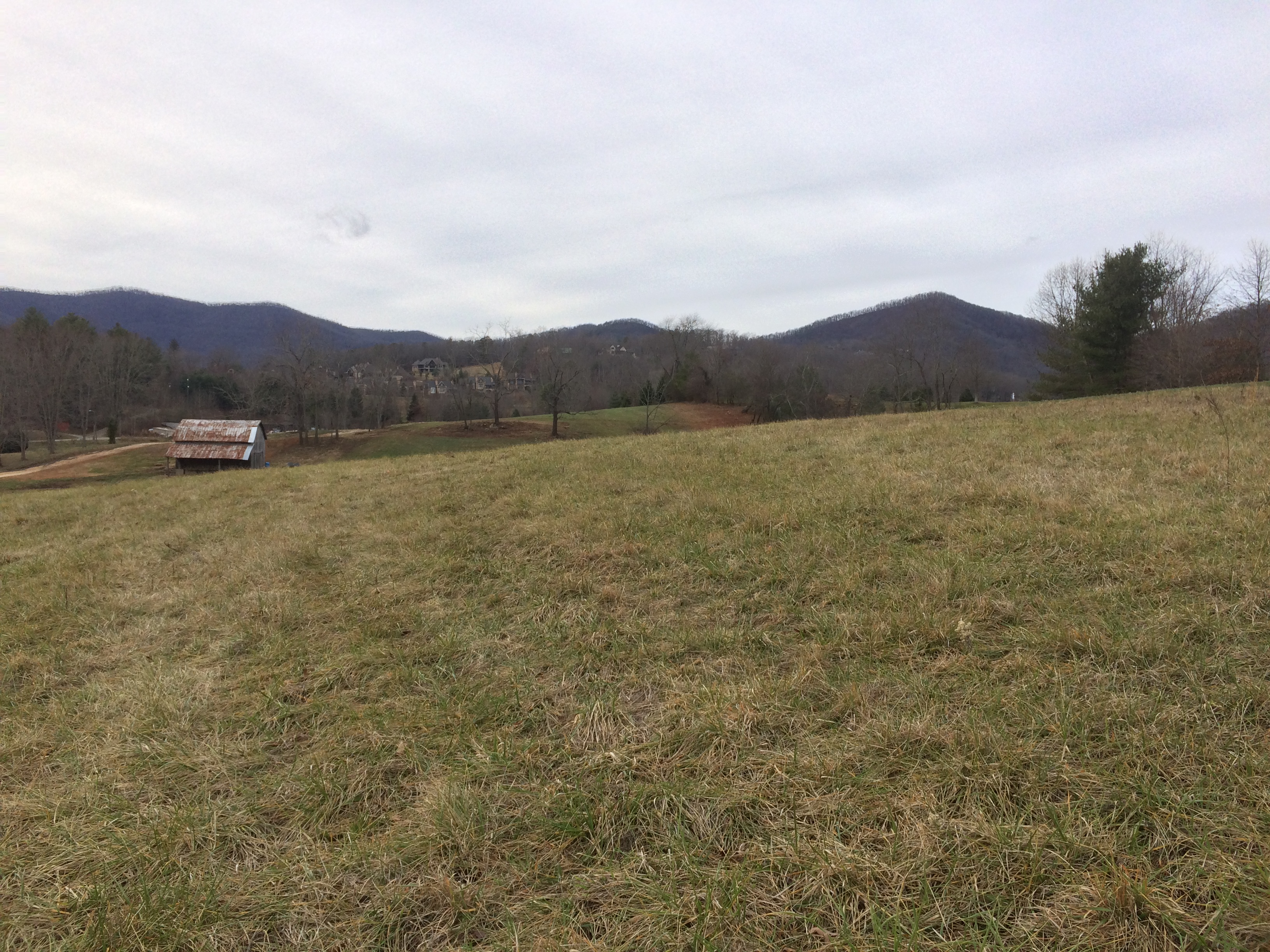 Lot 11 view west