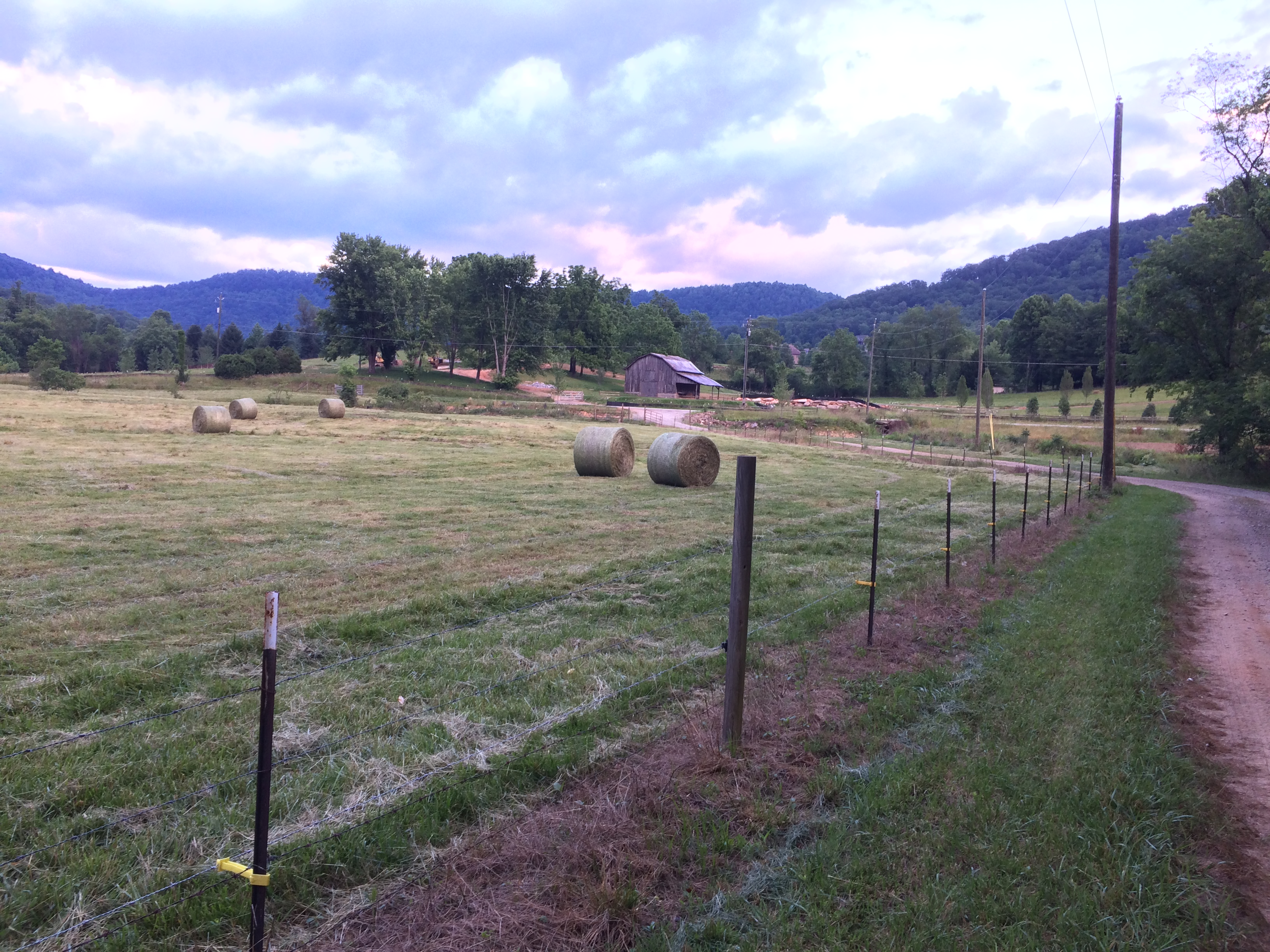 Hay bales June 10