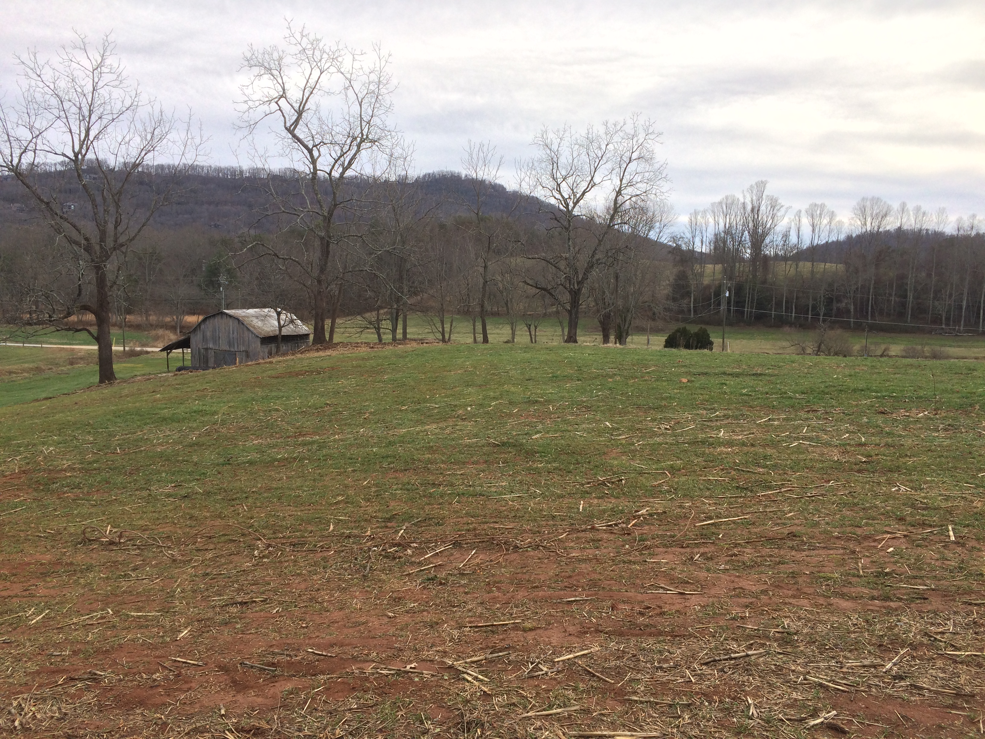 Lot 5 south