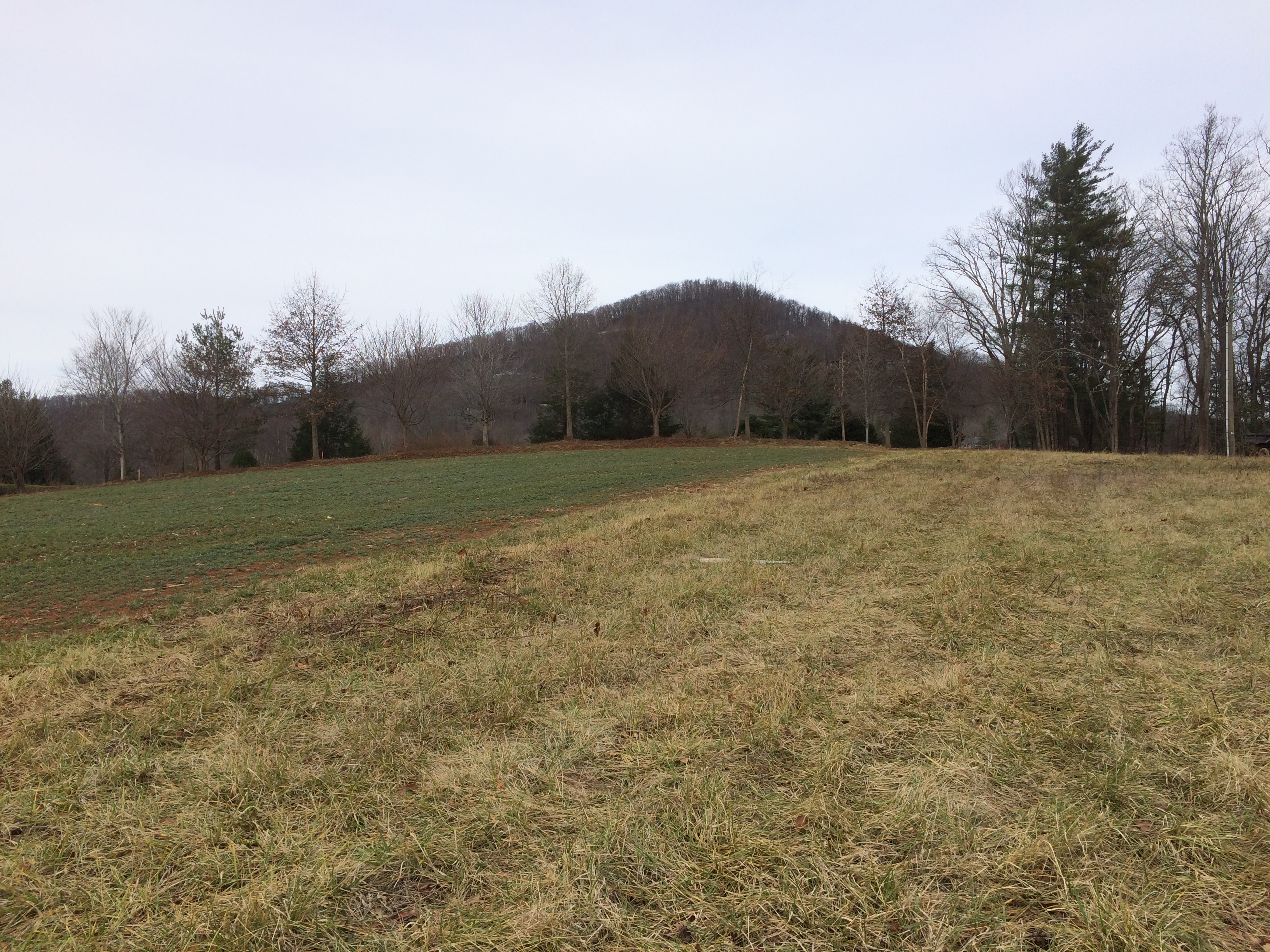 Lot 11 view north