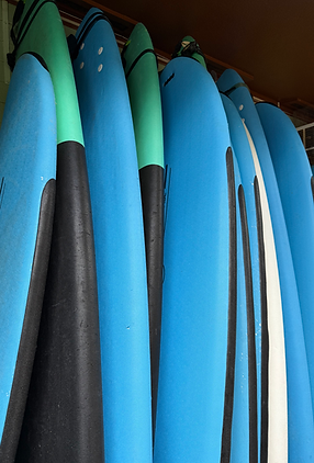 Softtop Surfboards