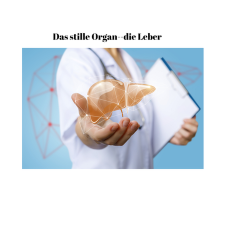 Warum Deine Leber still leidet – und wie Du sie unterstützen kannst