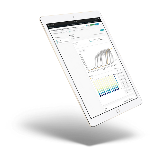 ipad-dataset-view.png