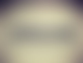 My Legal Work experience