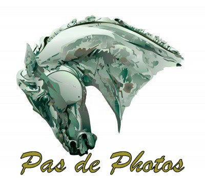 Ut de Thurin (Vendu)