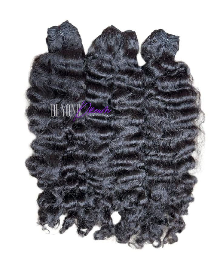 Burmese Curl Triple Bundles