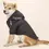 Thumbnail: Pet Dog Waterproof Coat Autumn Winter Puppy Warm Cotton