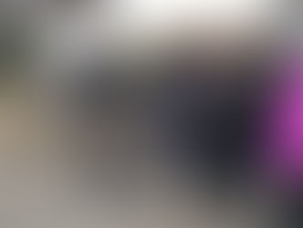 2017 Newcastle Annual Tour - Maitland