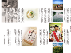 過坑稻 真食溫度2