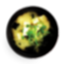 Miso_Shadow_WEB.png