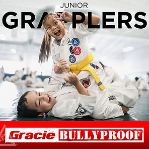 BJJ For Kids Classes