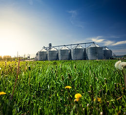 AGROINDÚSTRIA