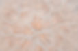 Untitled design (8)_edited.jpg