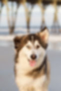 maya_edited.jpg