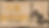 THE GARDEN_Graphic (1).png