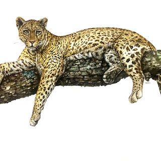 DESCANSO-(100-x-70-cm).jpg