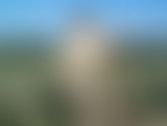 A Paradox between Nuestra Cultura & Professional Advancement 