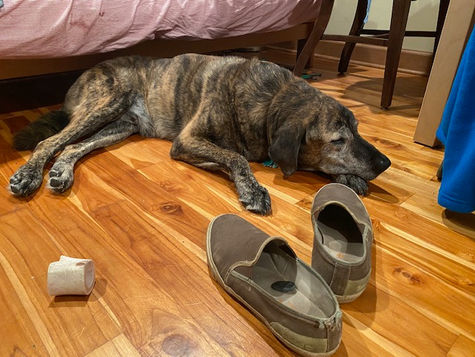 A Pebble in Your Shoe*