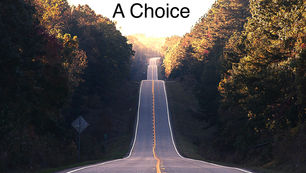 Your Next Steps Forward