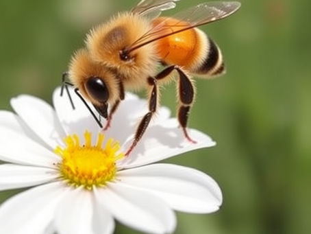 Busy as a Bee