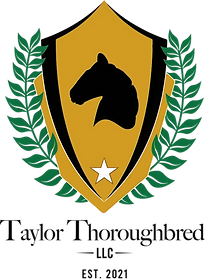 taylor thoroughbred logo