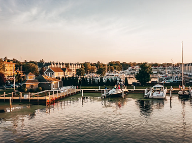 Screen Shot 2023-12-03 at 4.37.13 PM.png