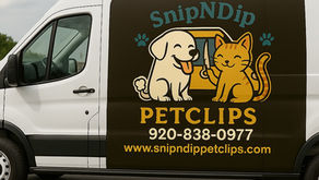 House Call Grooming Overview: Understanding house call  Grooming Costs