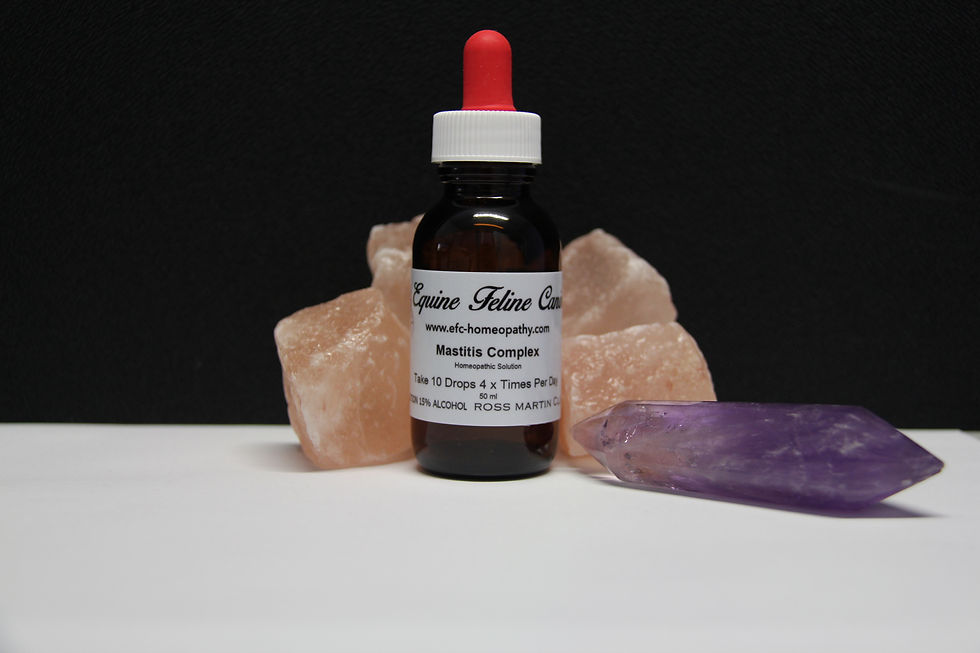 Equine -  Mastitis Complex