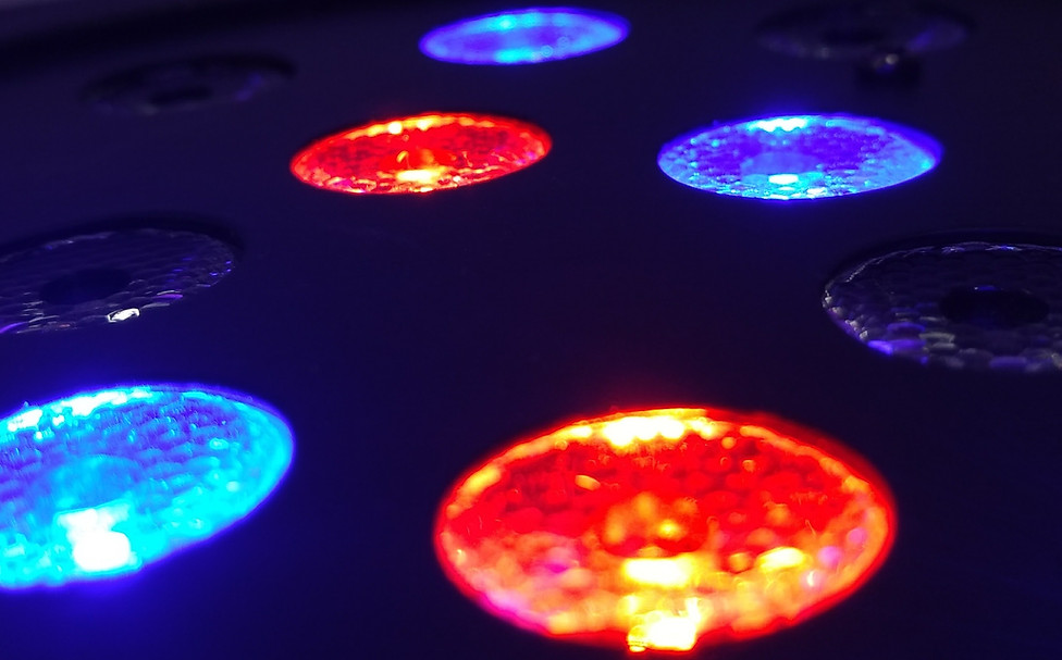 Disco Lights