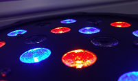 Disco Lights