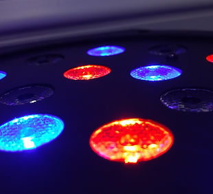 Disco Lichter
