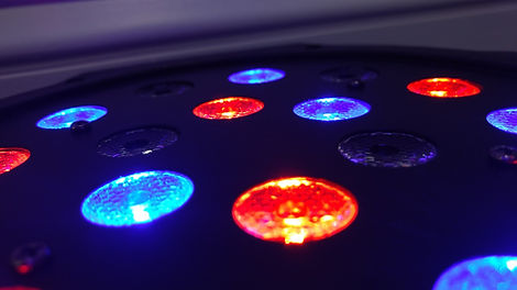 Disco Lights