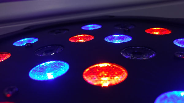 Colorful LED Lights