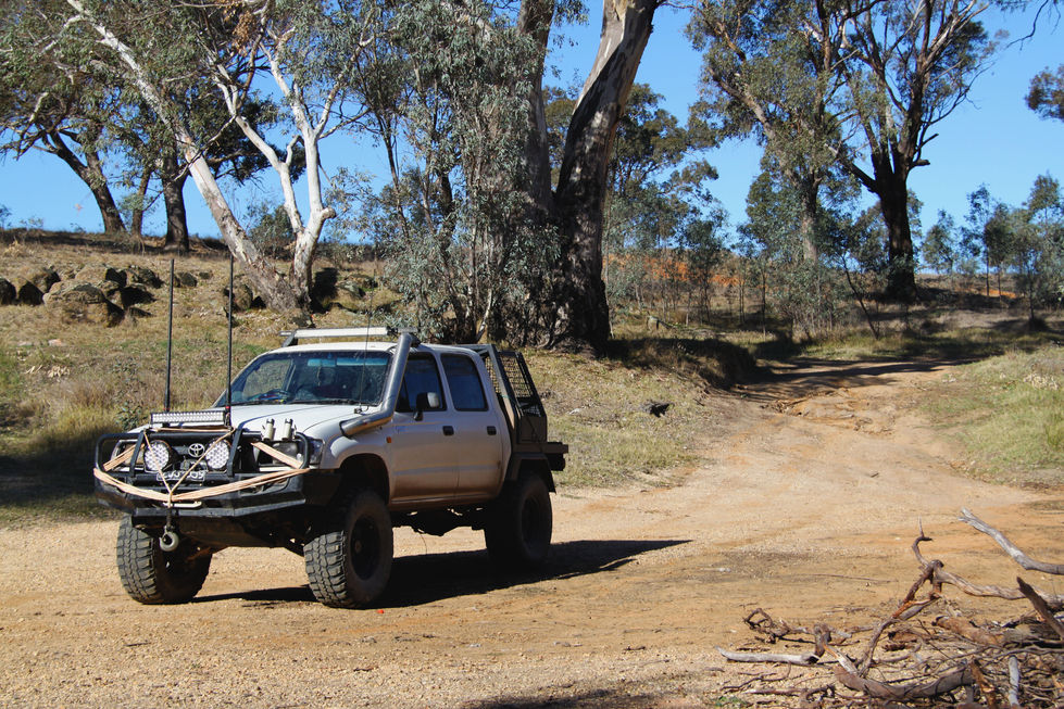 Copy of IMG_2900 copy