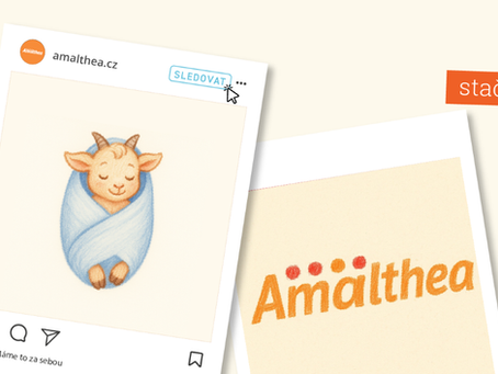 Domácí návštěvy porodních asistentek – prohlášení organizace Amalthea z.s.