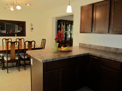 Below $44,000 Income