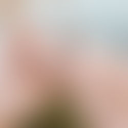 Engagement Shooting in den Bergen