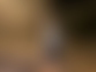 Herbst mini Shooting im Wald in Bern