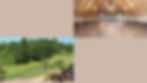 Paraiso Acres home page (3).jpg