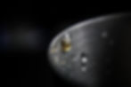 close-up-dark-drop-529548.jpg