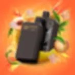 FB_BeastMode-MAX_2-APR2025-COL-PeachCanadaD 6IXSIDE VAPES.webp