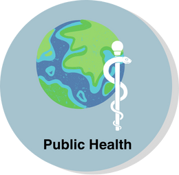 CPHC Domains_Eng_20250801_Public Health