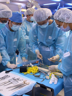 HKU-APOS Cadaveric Workshop on Arthroscopic Knee Surgery
