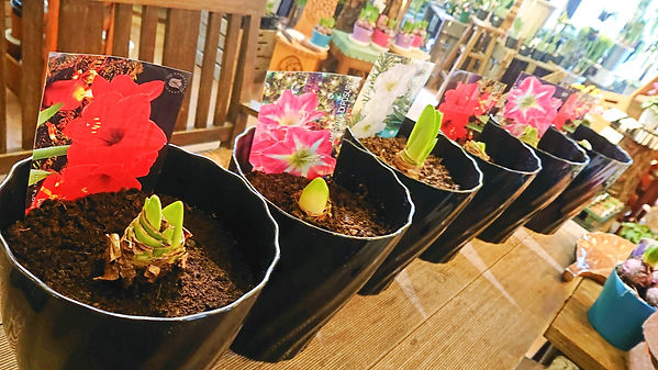 バンブル新着情報ブログ バンブル新着情報ブログ