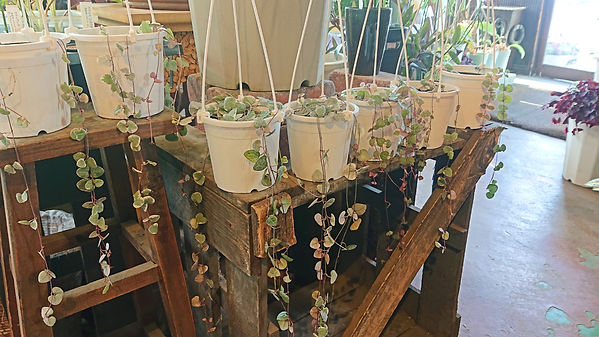 バンブル新着情報ブログ バンブル新着情報ブログ