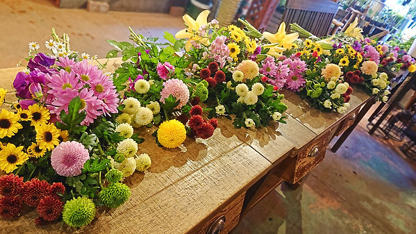 バンブル新着情報ブログ バンブル新着情報ブログ