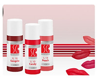 swiss color pigmente.jpg