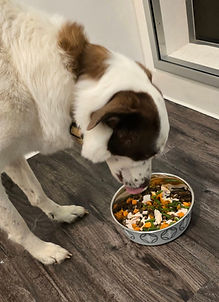 thanksgiving feast.jpg